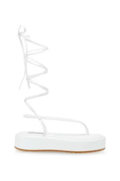 Steve Madden Sandales Plates 18 Steve Madden Sandales Plates -Steve Madden Boutique dfe167d4774da72cb0f16fcffd5b32fc